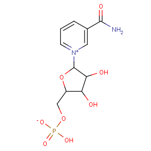 β-烟酰胺单核苷酸(NMN)|β-Nicotinamide Mononucleotide(NMN)|1094-61-7|百事品牌生物科技（苏州）有限公司