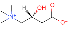 L-carnitine||541-15-1|East Star Biotech (Suzhou) Co., Ltd.